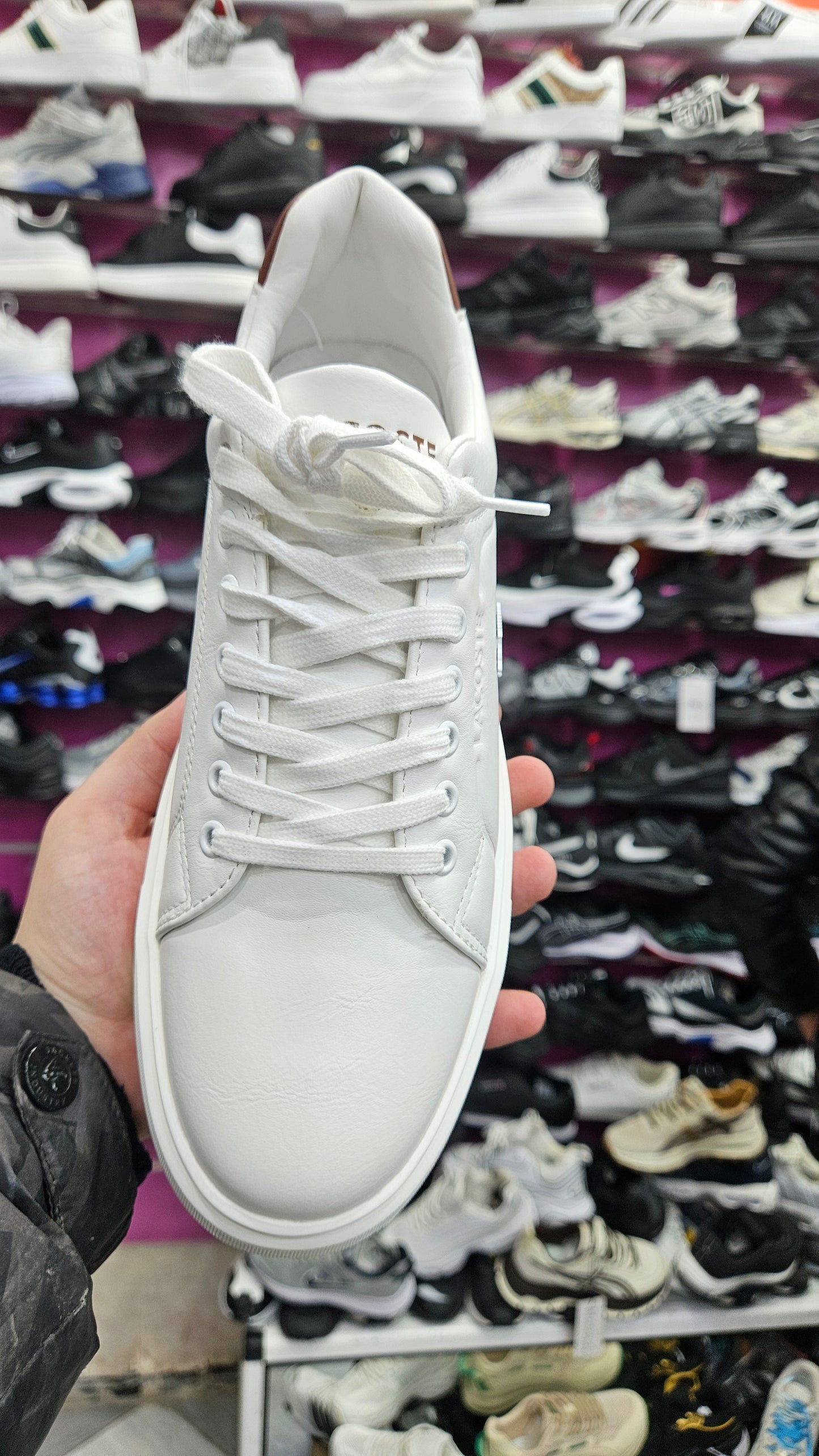 Ziane platform lacoste